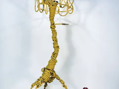 HC Lumius Rectus XXL — No. 01